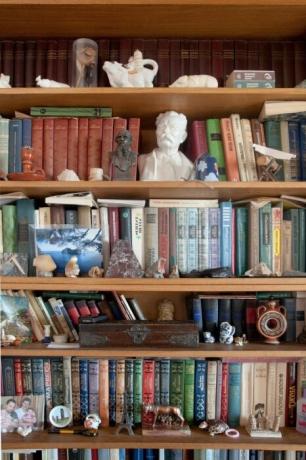 Rak buku dengan berbagai patung-patung.