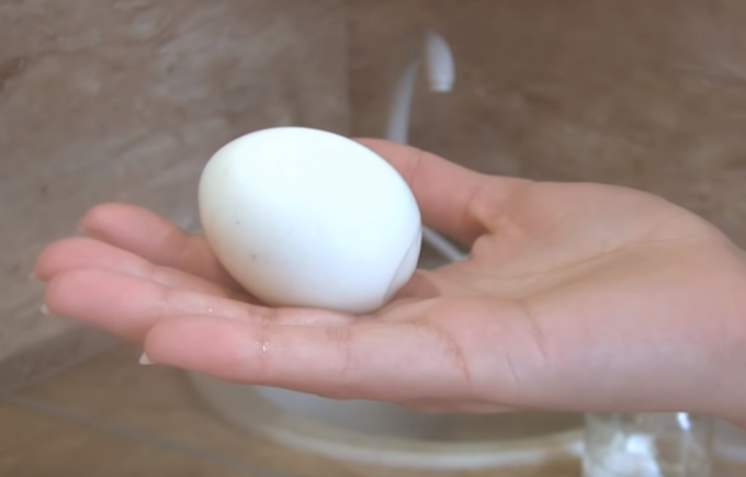 Semua orang ingin makan telur satu Gorny sempurna! / Sumber Foto: youtube.com/channel/UCagplR5T275T6em4AQOYNbQ