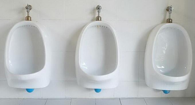 Urinal akan menguntungkan pria dan wanita.