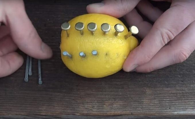  Lemon - jeruk misterius yang dapat menyenangkan tidak hanya vitamin. / Foto: s1.dmcdn.net. 