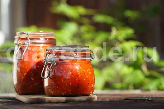 saus salsa resep. Ilustrasi untuk sebuah artikel digunakan untuk lisensi standar © ofazende.ru