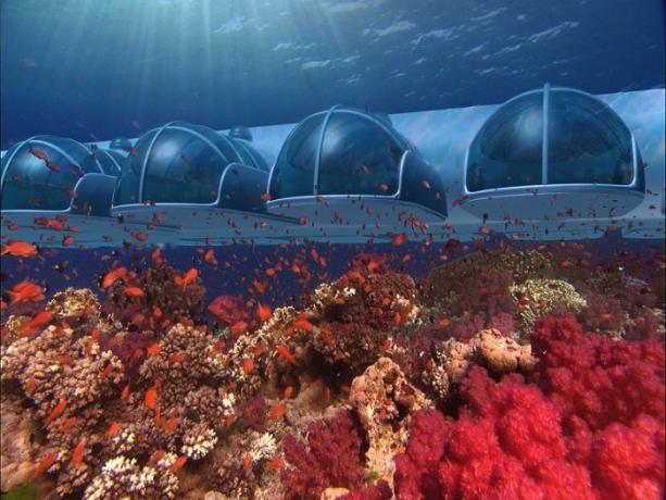 Hotel bawah laut di kepulauan Fiji. | Foto: s-media-cache-ak0.pinimg.com.
