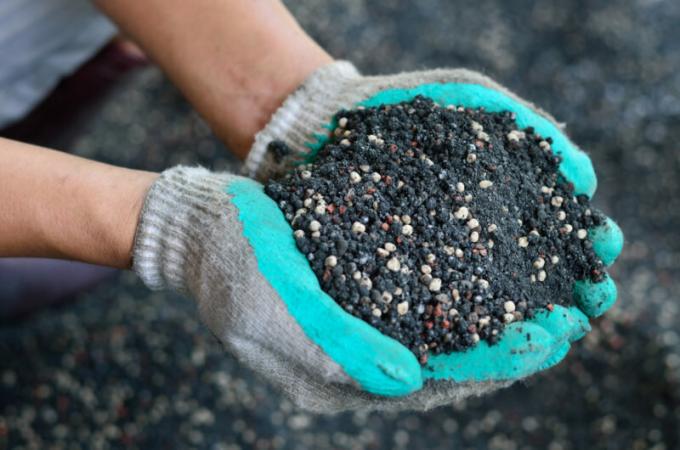 Pencar yang pupuk pada bulan Maret, salju