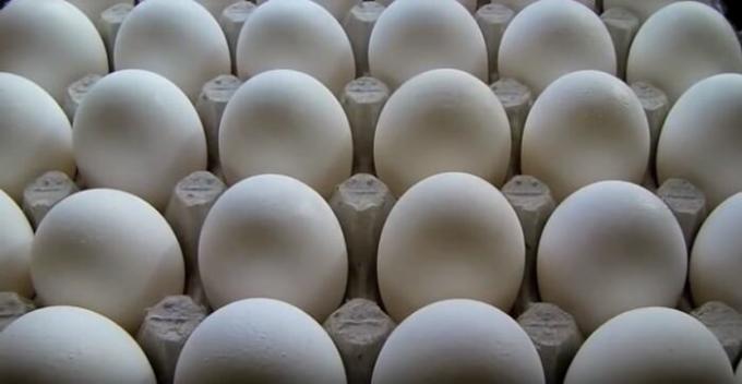 Ambil telur. / Foto: youtube.com. 