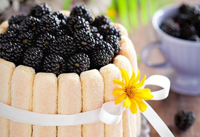 3 tahapan utama yang berkembang blackberry untuk panen besar, dan apa adalah kekuatan penyembuhan yang luar biasa untuk kesehatan Anda