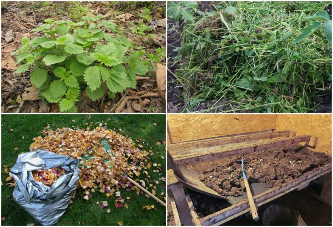 Cara membuat kompos di musim gugur, begitu banyak sehingga untuk menggunakannya bahkan untuk penanaman di musim semi (pupuk Keren hanya dalam 3 bulan!)