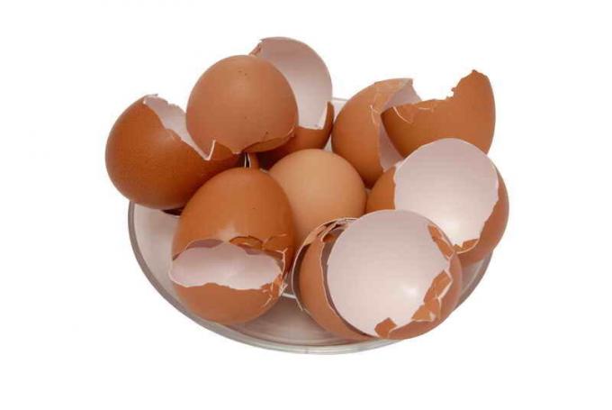 Cangkang telur sebagai top saus untuk tomat. Ilustrasi untuk sebuah artikel digunakan untuk lisensi standar © ofazende.ru