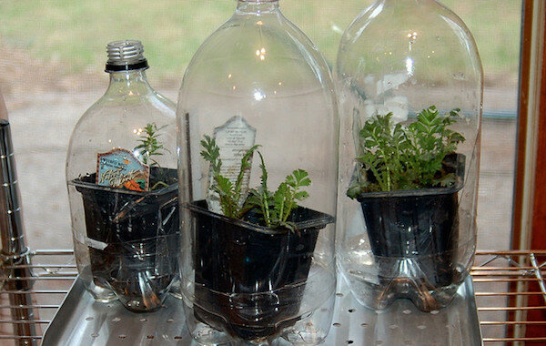 Lihat: http://www.agfoundation.org/images/uploads/_660w/greenhouse_bottles.jpg