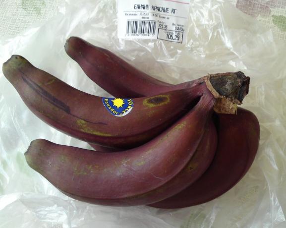 Di rak-rak supermarket ada pisang merah: apa yang mereka rasa? Saya berbagi pengalaman mereka