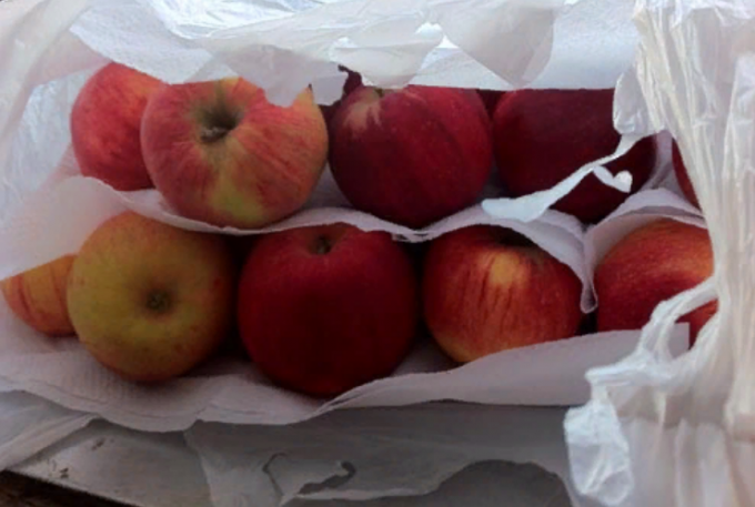 Bagaimana menjaga apel segar untuk musim dingin di rumah