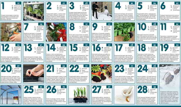 kalender tukang kebun