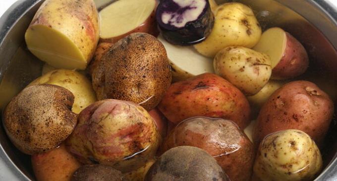 Cobalah selama menumbuk untuk mencampur berbagai varietas kentang.