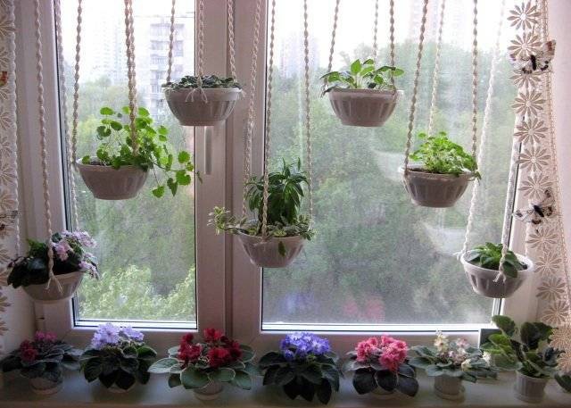 Dekorasi jendela asli dengan tanaman