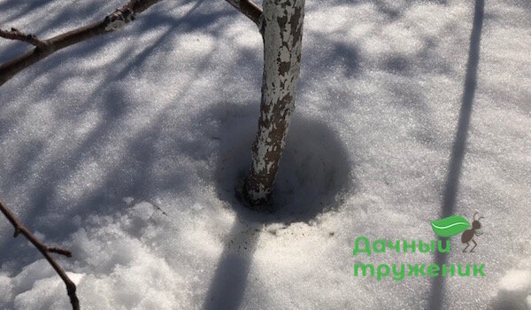 Salju yang mencair di sekitar batang dengan kapur. 
