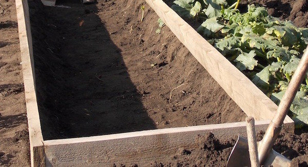 4, metode aplikasi jarum yang berguna di kebun