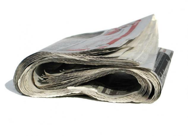 Koran di alam tidak hanya berguna untuk membakar. / Foto: e1.am.phnx.pics