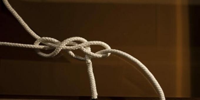 Untuk dua kabel. | Foto: biomolecula.ru.