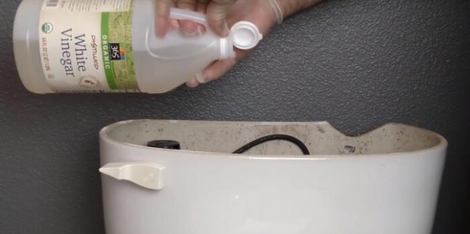 Isi cuka di toilet untuk membunuh semua bakteri. 