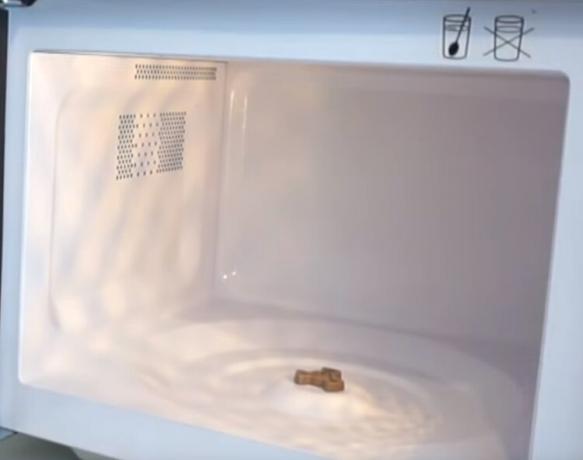 Istri dicuci microwave untuk bersinar. Digunakan untuk tujuan ini, spons dengan busa dari Ferry!