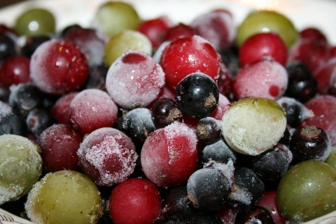 Cara menyimpan blueberry di lemari es: cara membekukan untuk musim dingin, berapa banyak yang bisa Anda simpan, video dan foto