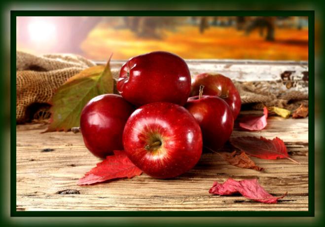Bagaimana menjaga apel segar untuk musim dingin di rumah